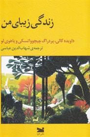 کتاب زندگی زیبای من
