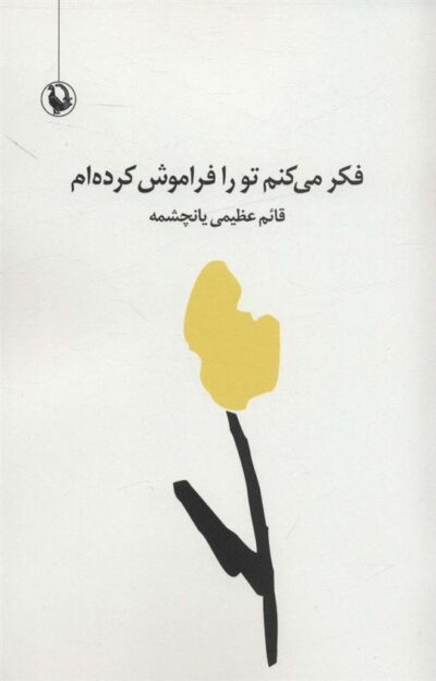 کتاب فکر می کنم تو را فراموش کرده ام
