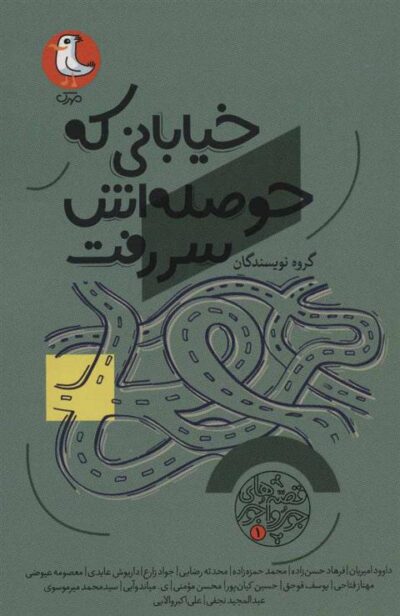 کتاب خیابانی که حوصله اش سر رفت