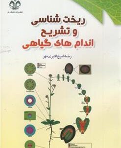 کتاب ریخت شناسی و تشریح اندام های گیاهی