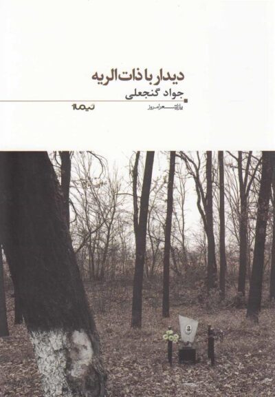 کتاب دیدار با ذات الریه